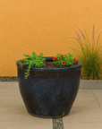 Blue ceramic Shigaraki style planter with wave glaze, filled with green foliage and red flowers on a patio.