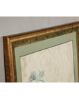 Midcentury Japanese Minimalist Botanical Print in Custom Gold Frame under Glass-15. Asian & Chinese Furniture, Art, Antiques, Vintage Home Décor for sale at FEA Home