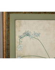 Midcentury Japanese Minimalist Botanical Print in Custom Gold Frame under Glass-6. Asian & Chinese Furniture, Art, Antiques, Vintage Home Décor for sale at FEA Home
