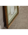 Midcentury Minimalist Botanical Print in Custom Gold Frame under Glass