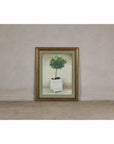 Midcentury Minimalist Botanical Print in Custom Gold Frame under Glass