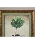 Midcentury Minimalist Botanical Print in Custom Gold Frame under Glass