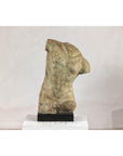 Greco Roman Inspired Classical Bronze Torso Sculpture with Verdigris Patina