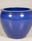 Close front view of the rounded cobalt blue planter and rolled rim