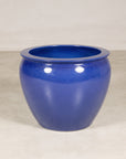 Cobalt blue ceramic planter shown from the front in a studio setting