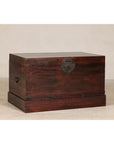 Antique Reddish Brown Lacquered Elm Trunk with Brass Lock and Raised Base