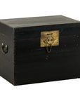 Black Lacquered Trunk with Brass Hardware and Side Handles-1. Asian & Chinese Furniture, Art, Antiques, Vintage Home Décor for sale at FEA Home