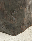 Dark Brown Free-Form Reclaimed Tree Trunk Side Pedestal - FEA Home