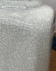 Elegant White Ceramic Vase with Intricate Crackle Finish, SKU , image 6