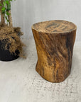 Honey Brown Twisted Free-Form Tree Trunk Side Pedestal Table - FEA Home