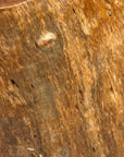 Large Free-Form Brown Rustic Tree Trunk Side Pedestal Table - FEA Home