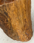 Large Honey Brown Reclaimed Tree Trunk Side Pedestal Table - FEA Home