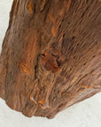 Large Honey Brown Reclaimed Tree Trunk Side Pedestal Table - FEA Home