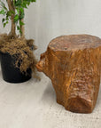Large Light Brown Free-Form Tree Trunk Side Pedestal Table - FEA Home