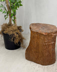 Large Light Brown Free-Form Tree Trunk Side Pedestal Table - FEA Home