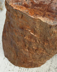 Large Light Brown Free-Form Tree Trunk Side Pedestal Table - FEA Home