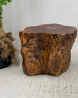 Large Wide Free-Form Reclaimed Tree Trunk Pedestal Table - FEA Home