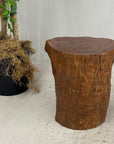 Reclaimed Tree Trunk Side Pedestal Table with Organic Shape - FEA Home