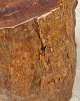Reclaimed Tree Trunk Side Pedestal Table with Organic Shape - FEA Home