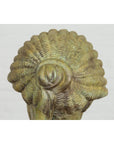 Bronze Hermes Bust Sculpture-17. Asian & Chinese Furniture, Art, Antiques, Vintage Home Décor for sale at FEA Home