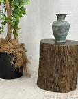 Rustic Textured Free-Form Reclaimed Tree Trunk Side Pedestal - FEA Home