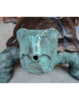 Bronze Fountain Garden Turtle Sculpture-10. Asian & Chinese Furniture, Art, Antiques, Vintage Home Décor for sale at FEA Home
