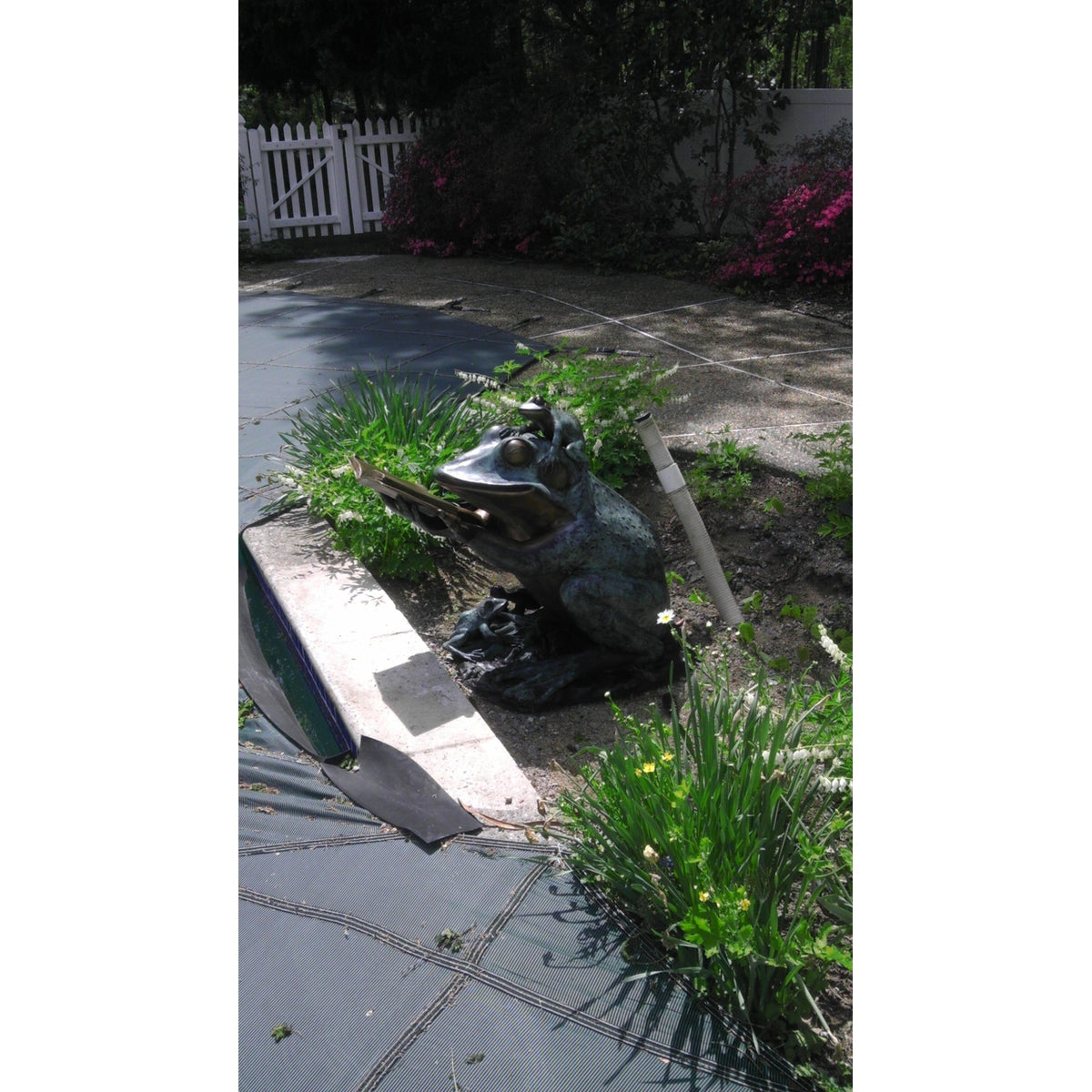Bronze Reading Animal Sculpture, "Frog Prince"-11. Asian & Chinese Furniture, Art, Antiques, Vintage Home Décor for sale at FEA Home