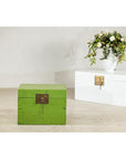 Vintage Green Lacquered Trunk with Brass Hardware