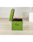 Vintage Green Lacquered Trunk with Brass Hardware