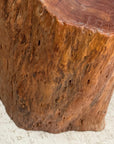 Warm Honey Brown Free-Form Tree Trunk Side Pedestal Table - FEA Home
