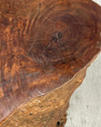 Warm Honey Brown Free-Form Tree Trunk Side Pedestal Table - FEA Home