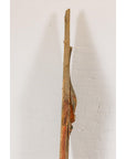 Large Pointed Mythical Singa Singa Tribal Carving-20. Asian & Chinese Furniture, Art, Antiques, Vintage Home Décor for sale at FEA Home