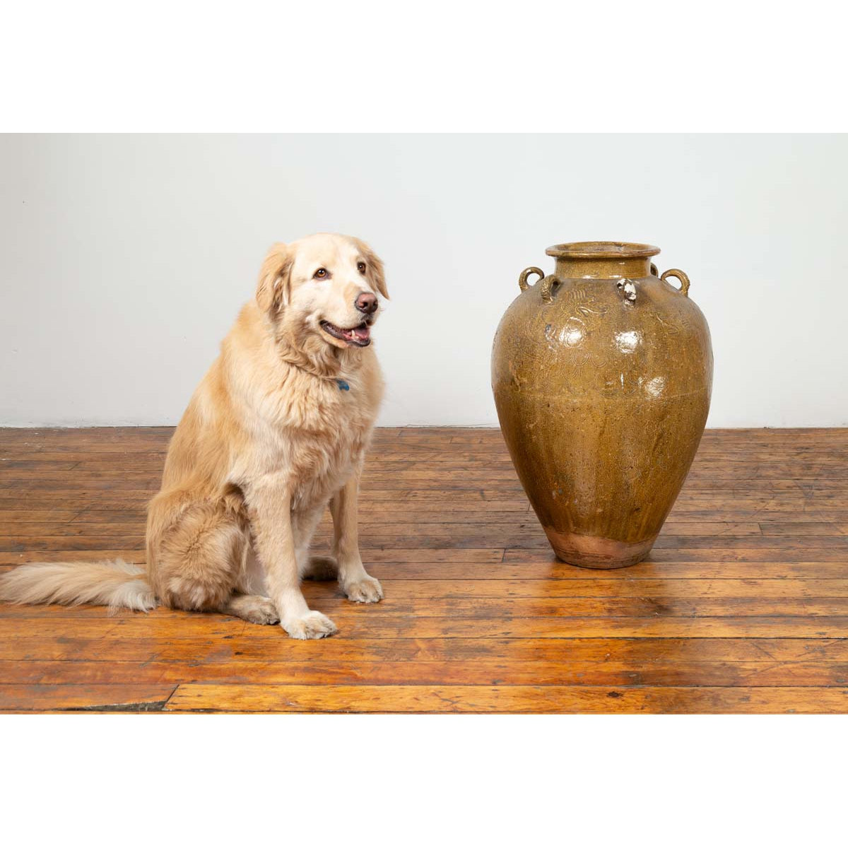 19th Century South-Eastern Martaban Water Jar with Dragon Motifs and Handles-6. Asian & Chinese Furniture, Art, Antiques, Vintage Home Décor for sale at FEA Home