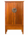 Chinese Qing Dynasty Elmwood Cabinet with Bronze Medallion and Inner Drawers-1. Asian & Chinese Furniture, Art, Antiques, Vintage Home Décor for sale at FEA Home