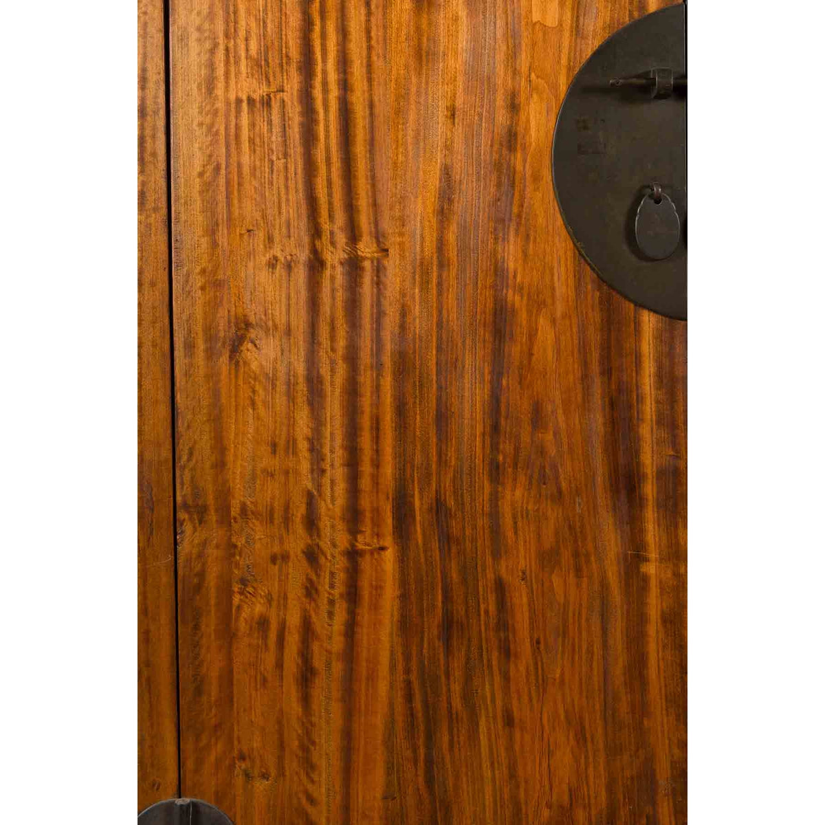Chinese Qing Dynasty Period 19th Century Cabinet with Hidden Drawers and Panel-8. Asian & Chinese Furniture, Art, Antiques, Vintage Home Décor for sale at FEA Home