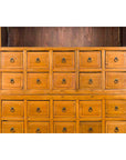 Late 19th Century Nam Wooden Apothecary Cabinet-8. Asian & Chinese Furniture, Art, Antiques, Vintage Home Décor for sale at FEA Home