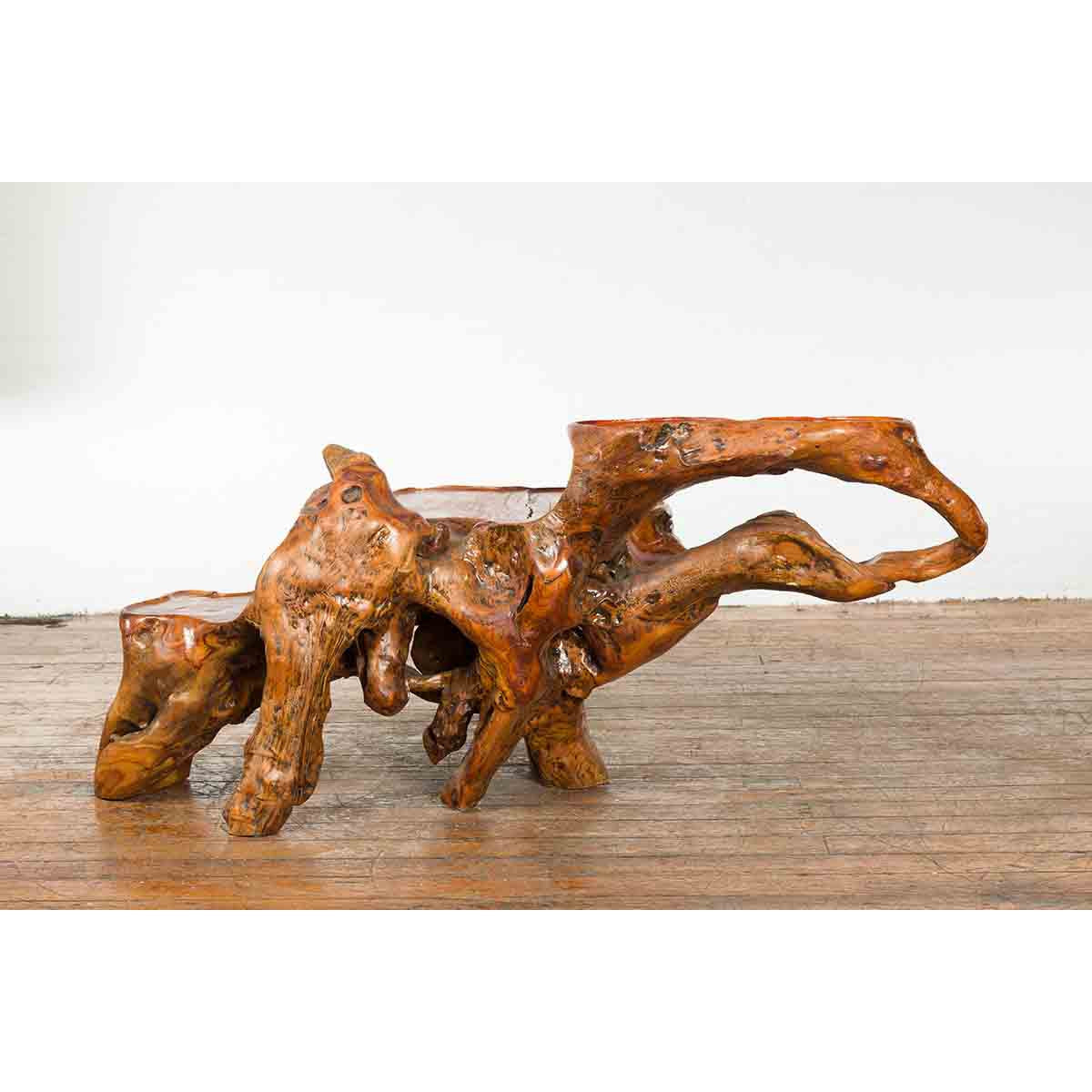 Indonesian 20th Century Lacquered Root Stand-12. Asian & Chinese Furniture, Art, Antiques, Vintage Home Décor for sale at FEA Home