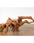 Indonesian 20th Century Lacquered Root Stand-12. Asian & Chinese Furniture, Art, Antiques, Vintage Home Décor for sale at FEA Home
