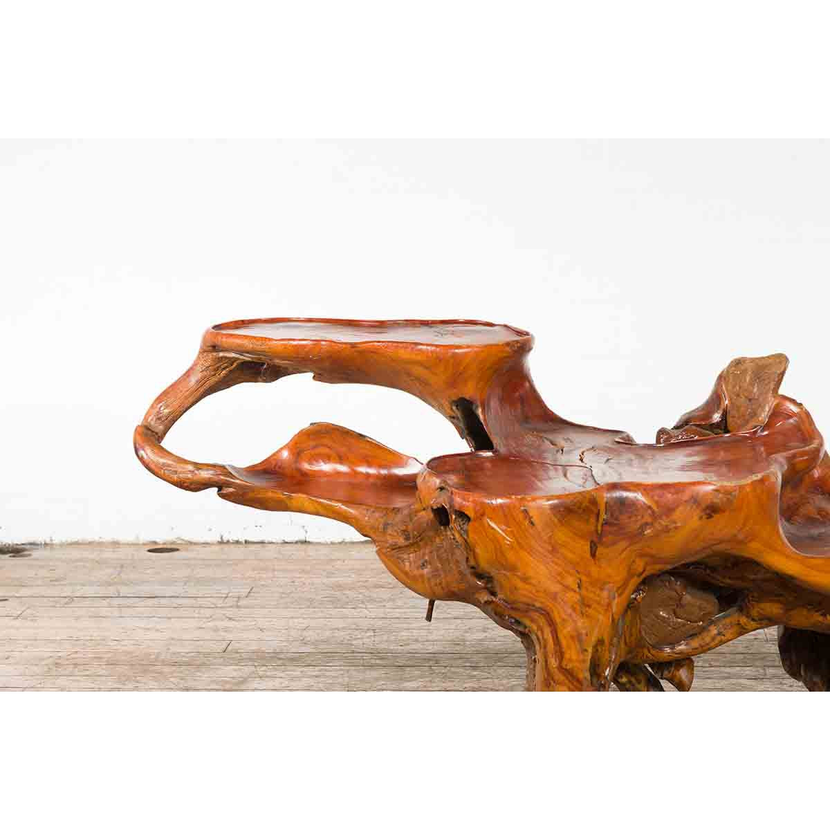Indonesian 20th Century Lacquered Root Stand-3. Asian & Chinese Furniture, Art, Antiques, Vintage Home Décor for sale at FEA Home