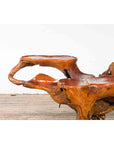 Indonesian 20th Century Lacquered Root Stand-3. Asian & Chinese Furniture, Art, Antiques, Vintage Home Décor for sale at FEA Home