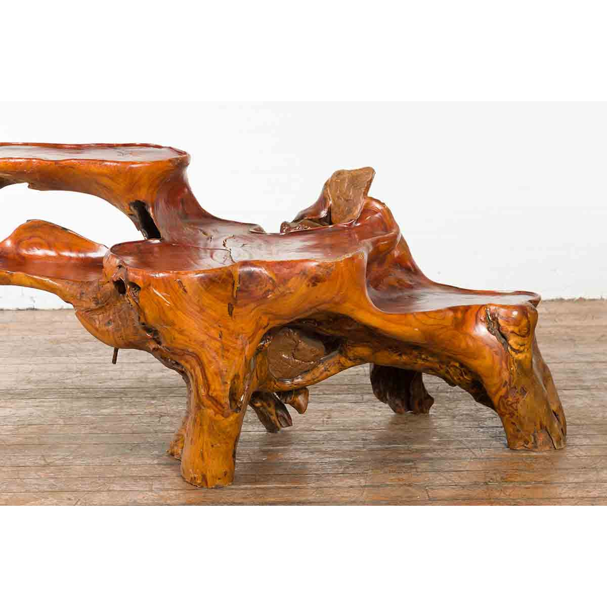 Indonesian 20th Century Lacquered Root Stand-4. Asian & Chinese Furniture, Art, Antiques, Vintage Home Décor for sale at FEA Home