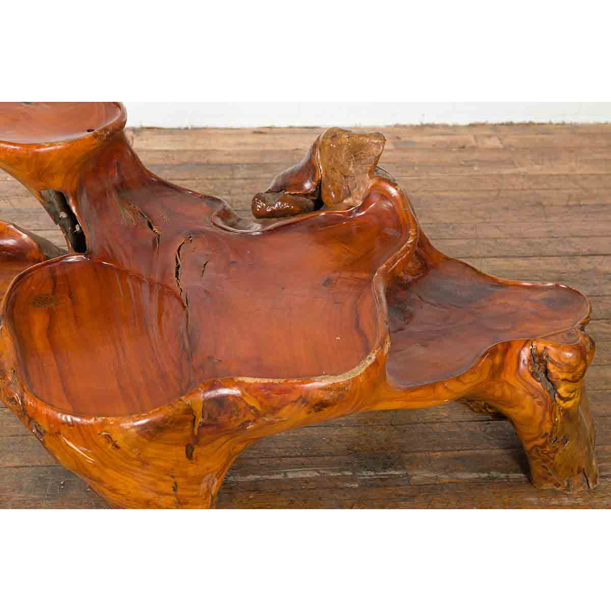 Indonesian 20th Century Lacquered Root Stand-5. Asian & Chinese Furniture, Art, Antiques, Vintage Home Décor for sale at FEA Home