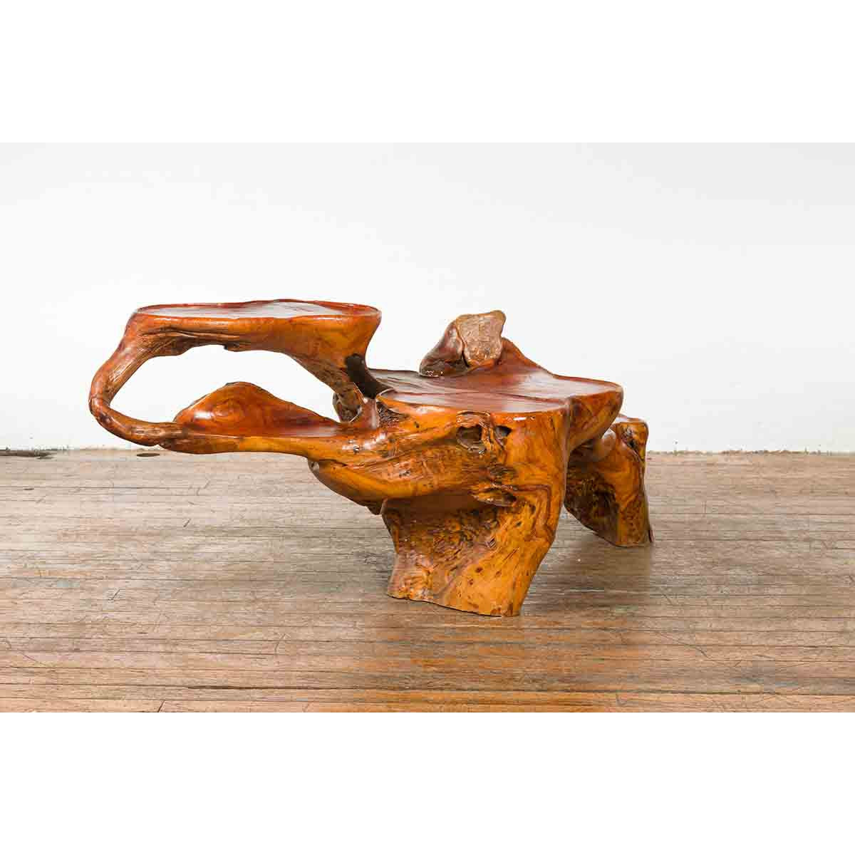 Indonesian 20th Century Lacquered Root Stand-10. Asian & Chinese Furniture, Art, Antiques, Vintage Home Décor for sale at FEA Home