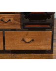 Japanese 19th Century Meiji Period Brown and Black Tansu Clothing Chest-10. Asian & Chinese Furniture, Art, Antiques, Vintage Home Décor for sale at FEA Home