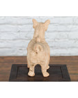 Ming Dynasty 18th Century Terracotta Sculpture Depicting a Mythical Creature-11. Asian & Chinese Furniture, Art, Antiques, Vintage Home Décor for sale at FEA Home