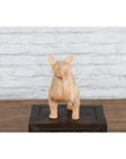 Ming Dynasty 18th Century Terracotta Sculpture Depicting a Mythical Creature-9. Asian & Chinese Furniture, Art, Antiques, Vintage Home Décor for sale at FEA Home