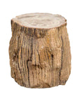 Antique Petrified Wood Tree Stump Drinks Table or Stool Covered in Gesso-1. Asian & Chinese Furniture, Art, Antiques, Vintage Home Décor for sale at FEA Home