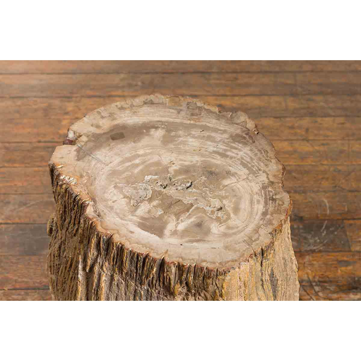 Antique Petrified Wood Tree Stump Drinks Table or Stool Covered in Gesso-5. Asian & Chinese Furniture, Art, Antiques, Vintage Home Décor for sale at FEA Home