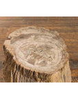 Antique Petrified Wood Tree Stump Drinks Table or Stool Covered in Gesso-5. Asian & Chinese Furniture, Art, Antiques, Vintage Home Décor for sale at FEA Home