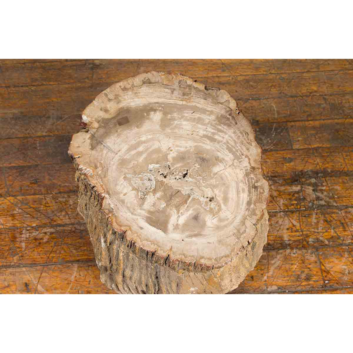 Antique Petrified Wood Tree Stump Drinks Table or Stool Covered in Gesso-6. Asian & Chinese Furniture, Art, Antiques, Vintage Home Décor for sale at FEA Home